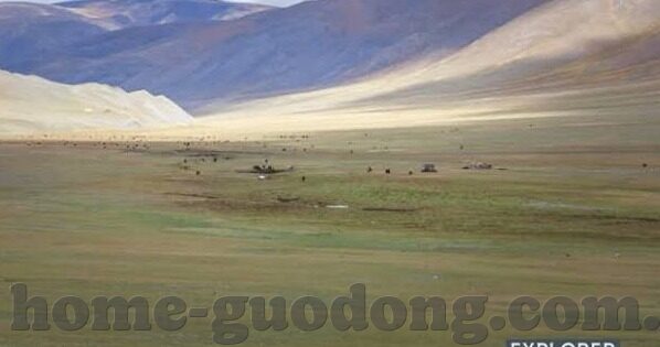大象传媒免费入口2922-大象传媒，解锁2922的无限可能