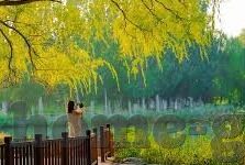 日韩av一区二区在线-日韩AV一区二区在线，网络文化与内容审慎的探讨